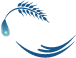 IFS Global Logo